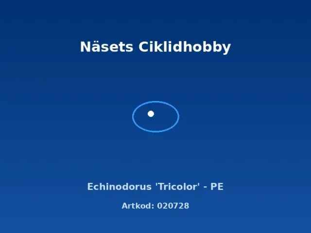 Näsets Ciklidhobby Echinodorus Tricolor akvarieväxt PE