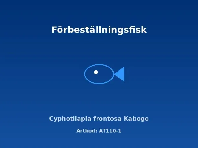 Näsets Ciklidhobby Cyphotilapia frontosa Kabogo ciklid 4–5 cm