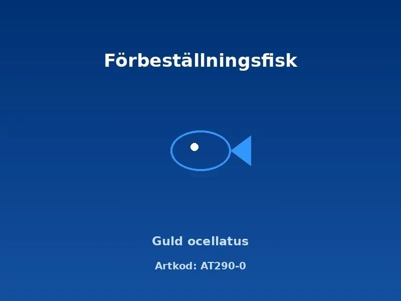 Näsets Ciklidhobby Guld ocellatus akvariefisk 2–2,5 cm snäckciklid