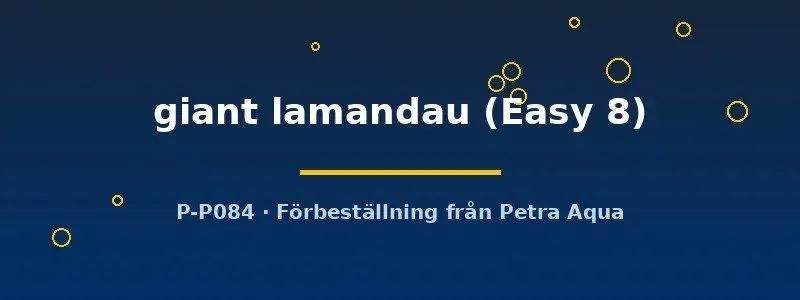 Näsets Ciklidhobby Giant Lamandau akvarieväxt Easy8