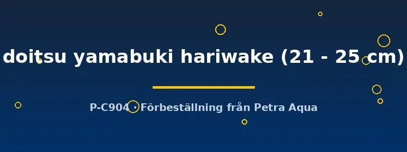 Näsets Ciklidhobby Doitsu Yamabuki Hariwake koi 21–25cm gul