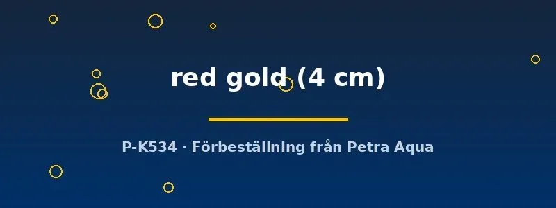 Näsets Sailfin red gold molly fisk 4 cm rödguld