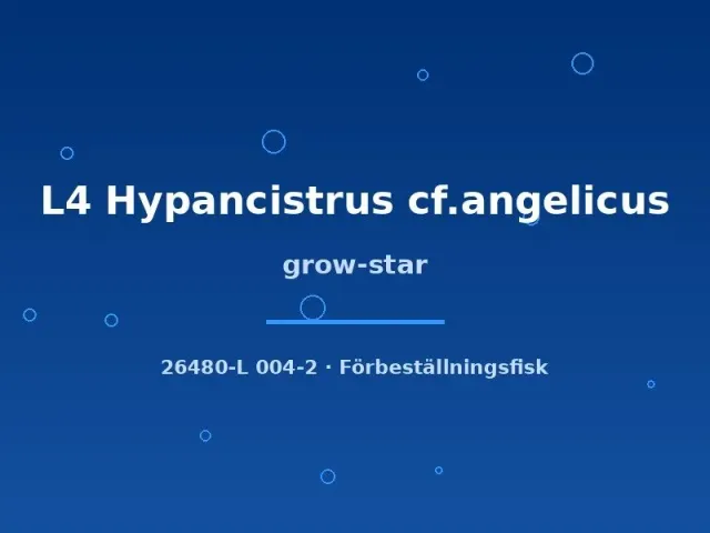 Näsets Ciklidhobby Grow-Star L4 mal 5–7 cm prickig
