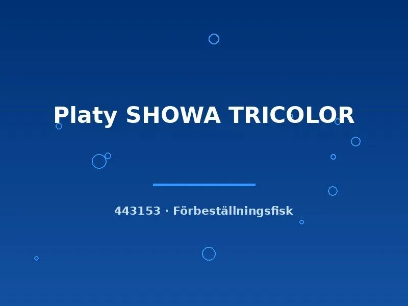 Näsets Ciklidhobby Platy SHOWA TRICOLOR fisk lg trefärgad