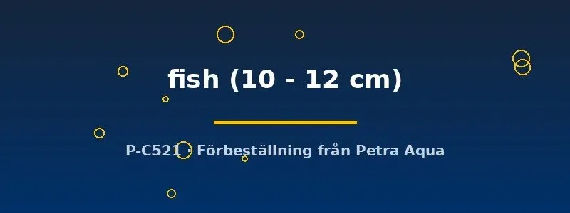 Bait fish foderfisk akvariefisk 10-12 cm