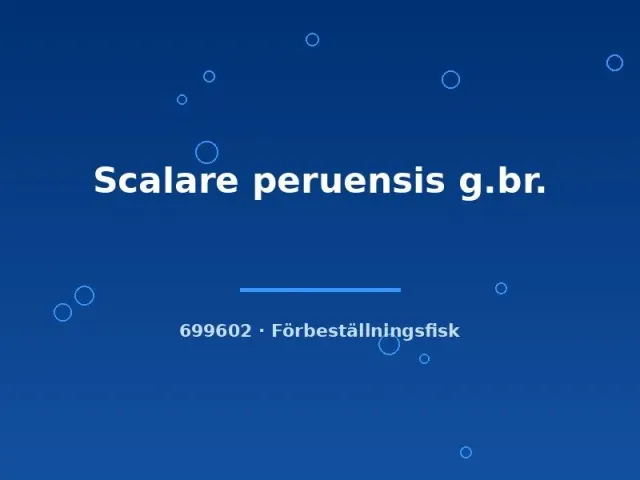 Näsets Ciklidhobby Scalare peruensis g.br. md skalar förbeställning
