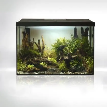 Aquael Leddy 60 XL Day & Night akvarium 72L svart LED