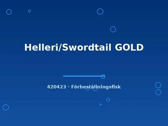 Näsets Ciklidhobby Swordtail Gold svärdbärare lg
