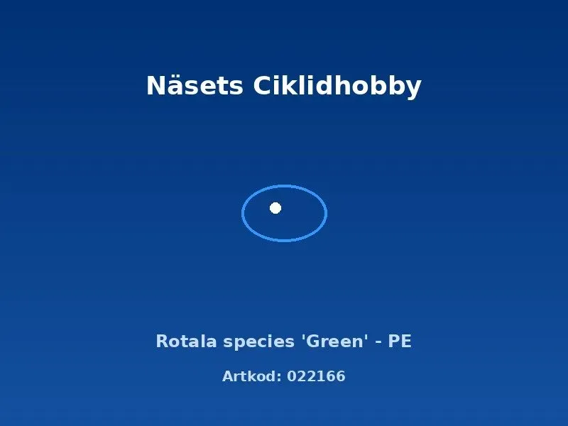 Näsets Ciklidhobby Rotala Green akvarieväxt PE grön
