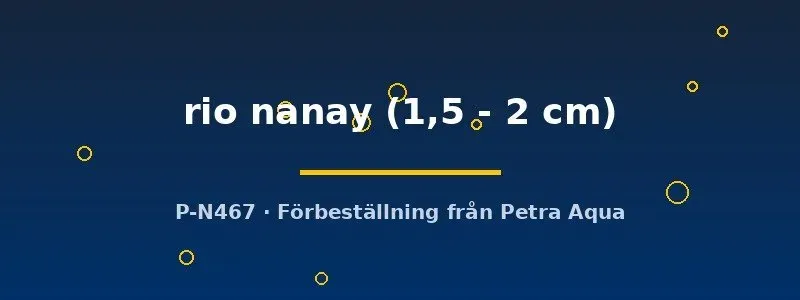 Näsets Ciklidhobby Rio Nanay skalar 1,5–2 cm
