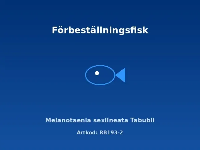 Näsets Ciklidhobby Melanotaenia sexlineata Tabubil regnbågsfisk 4–5 cm