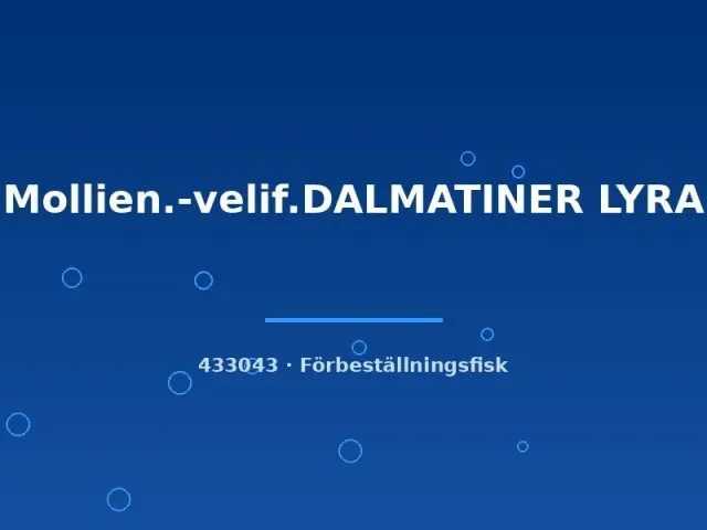 Molly dalmatiner lyra segelfensmolly stor