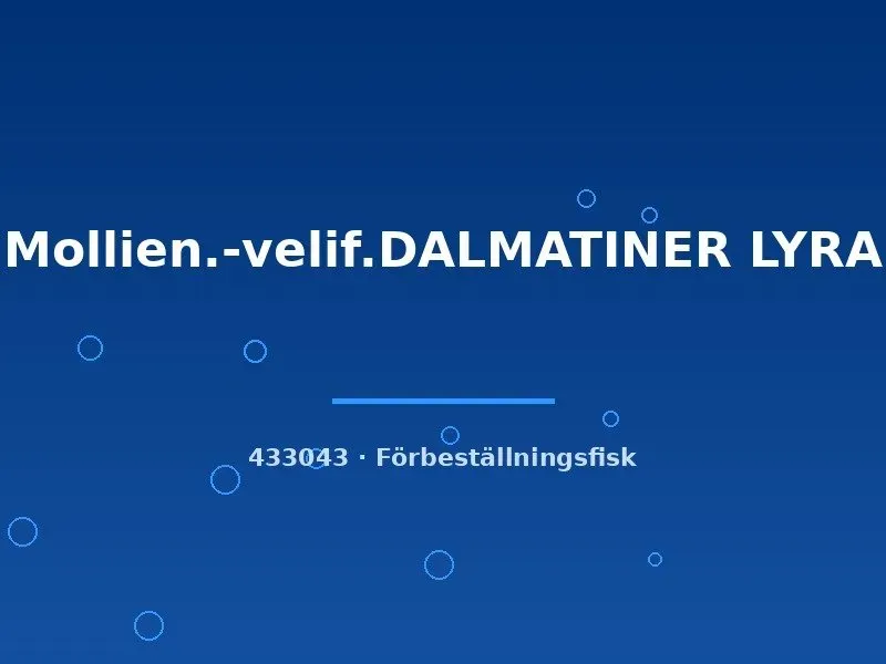 Molly dalmatiner lyra segelfensmolly stor
