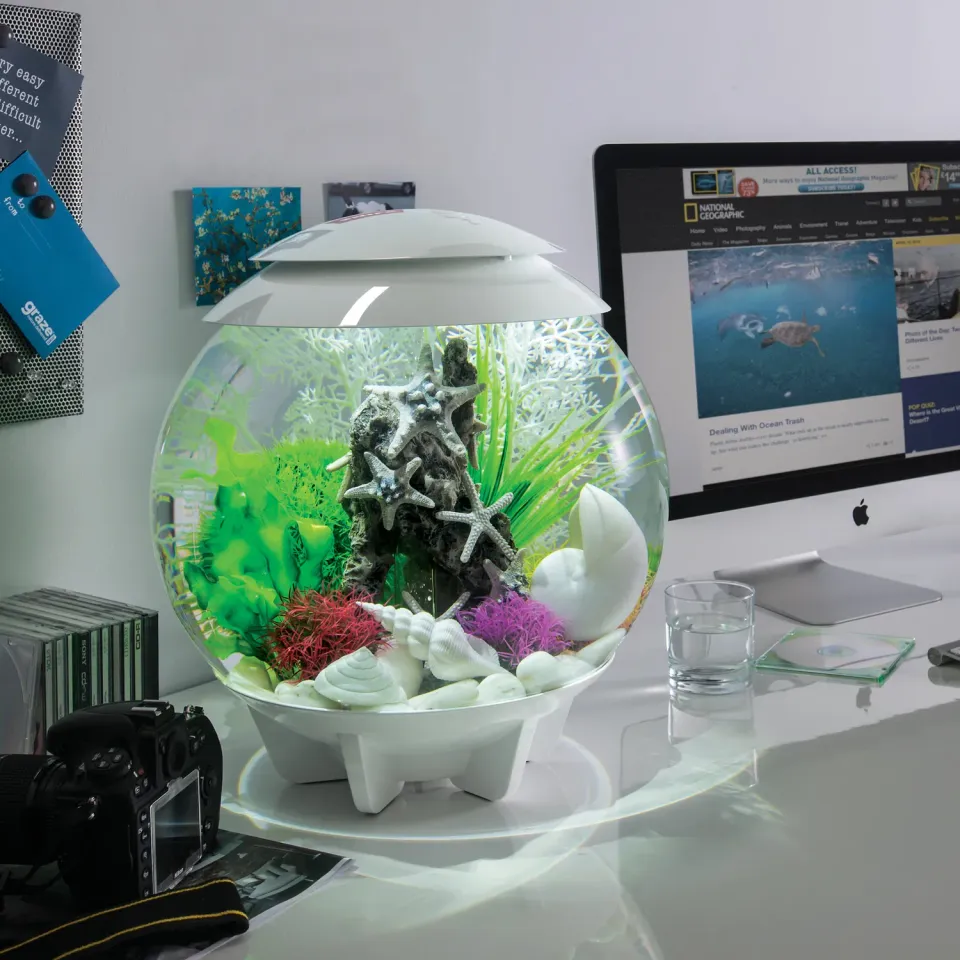 biOrb Halo 30 akvarium Beachside Bliss 30 liter LED