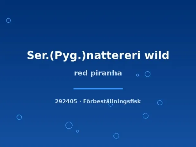 Näsets Ciklidhobby Red Piranha piraya 6–9 cm vildfångad