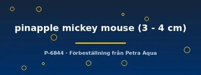 Näsets Pineapple Mickey Mouse svärdbärare 3–4 cm gul