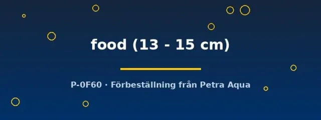 Näsets Ciklidhobby Live Fish Food foderfisk 13-15 cm