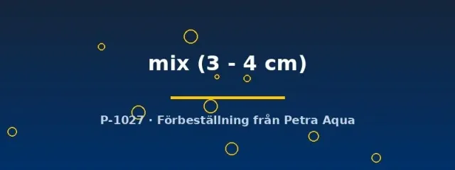 Aulonocara mix malawiciklid 3–4 cm ungfisk