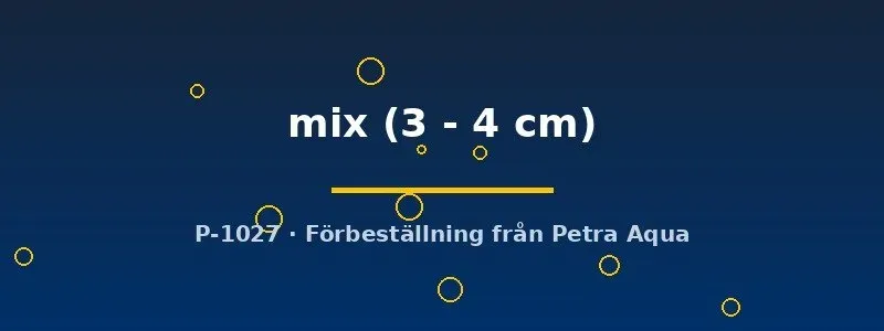 Aulonocara mix malawiciklid 3–4 cm ungfisk
