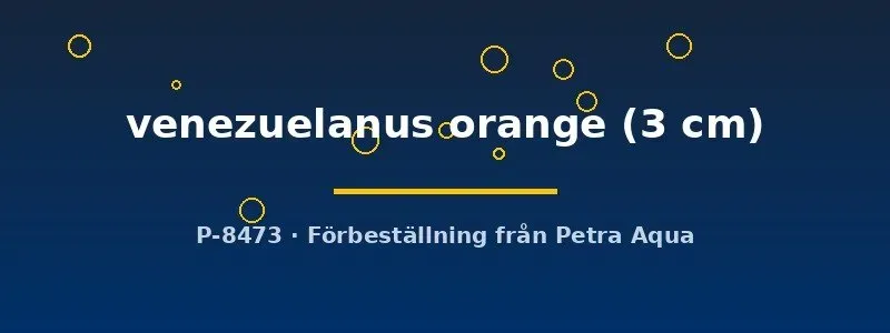 Näsets Ciklidhobby venezuelanus orange pansarmal 3 cm stimfisk