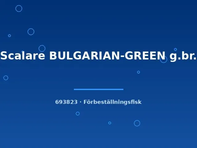 Näsets Ciklidhobby Bulgarian Green scalare akvariefisk lg sötvattensciklid