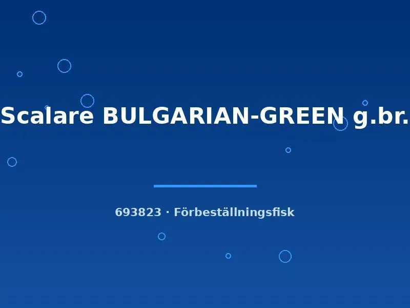Näsets Ciklidhobby Bulgarian Green scalare akvariefisk lg sötvattensciklid