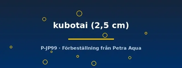 Näsets Ciklidhobby Microrasbora kubotai 2,5 cm stimfisk grön