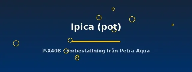 Näsets Ciklidhobby Echinodorus Ipica akvarieväxt pot svärdplanta