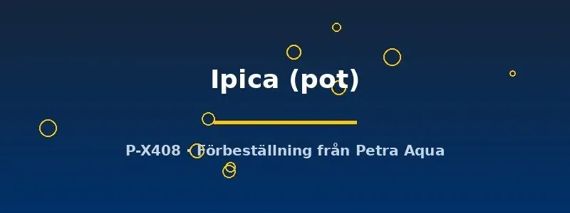 Näsets Ciklidhobby Echinodorus Ipica akvarieväxt pot svärdplanta