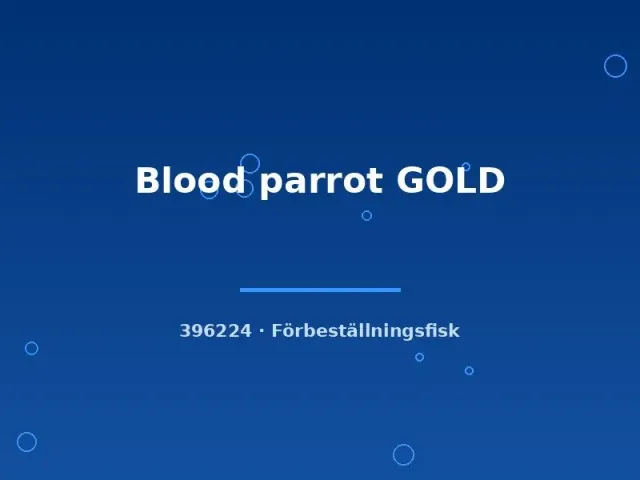 Näsets Ciklidhobby Blood Parrot Gold ciklid 7-9 cm gul