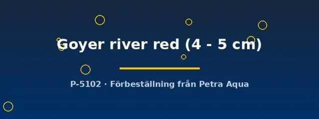 Melanotaenia trifasciata Goyer River red regnbågsfisk 4–5 cm