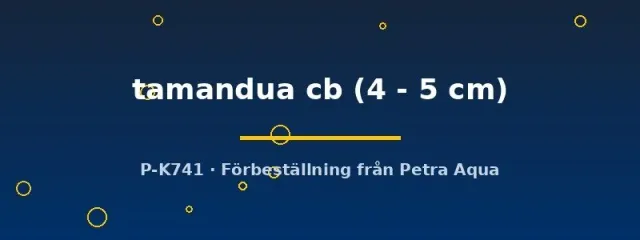 Näsets Ciklidhobby Gnathomenus tamandua mal 4–5 cm odlad