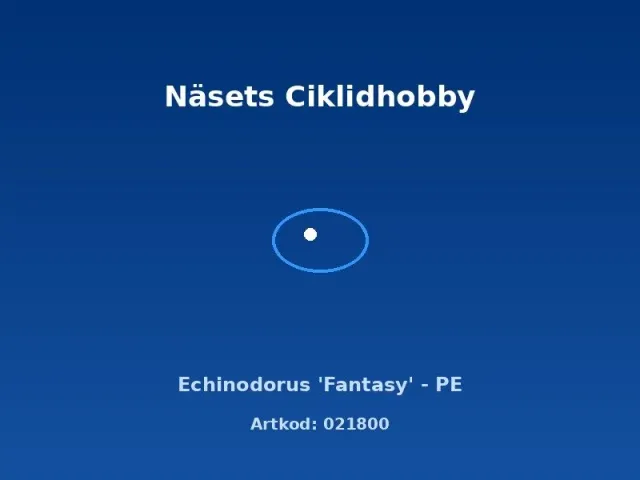 Näsets Ciklidhobby Echinodorus Fantasy akvarieväxt PE