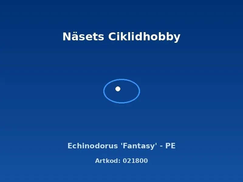 Näsets Ciklidhobby Echinodorus Fantasy akvarieväxt PE