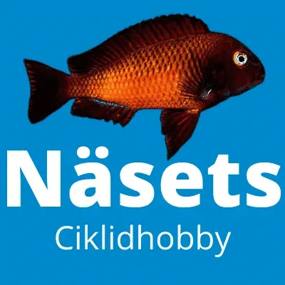 Näsets Ciklidhobby Kvartsglas UVC 2500 akvarietillbehör 5W VG
