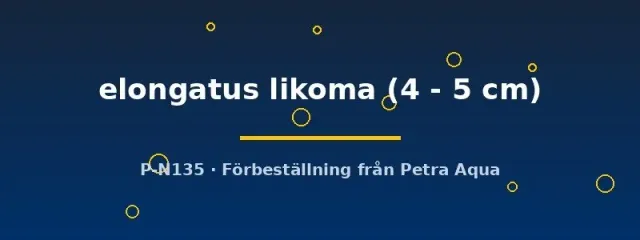 Näsets Ciklidhobby Elongatus Likoma ciklid 4–5 cm