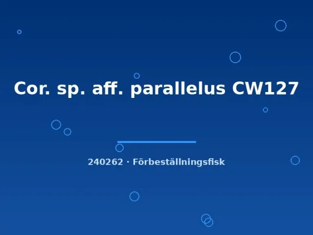 Näsets Cor. parallelus CW127 pansarmal g.br.md vild
