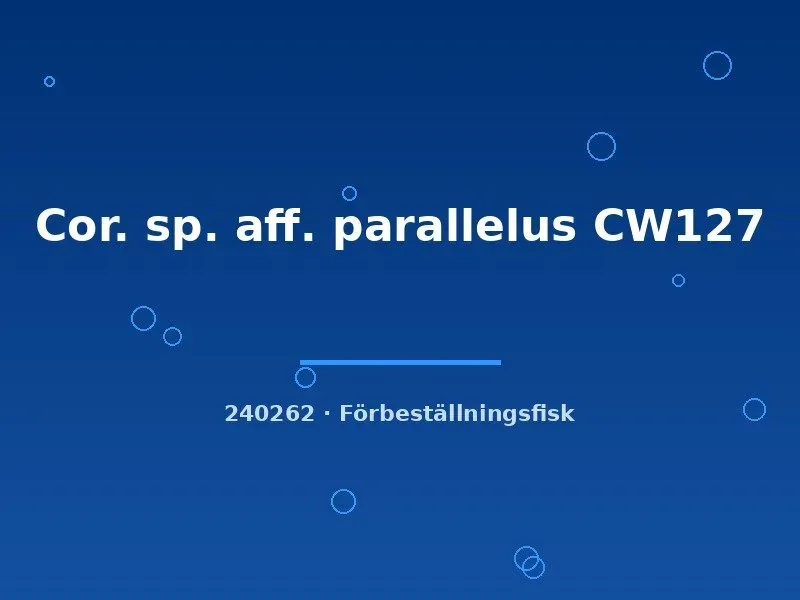 Näsets Cor. parallelus CW127 pansarmal g.br.md vild