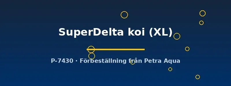 Näsets Ciklidhobby Betta SuperDelta koi kampfiskhona XL
