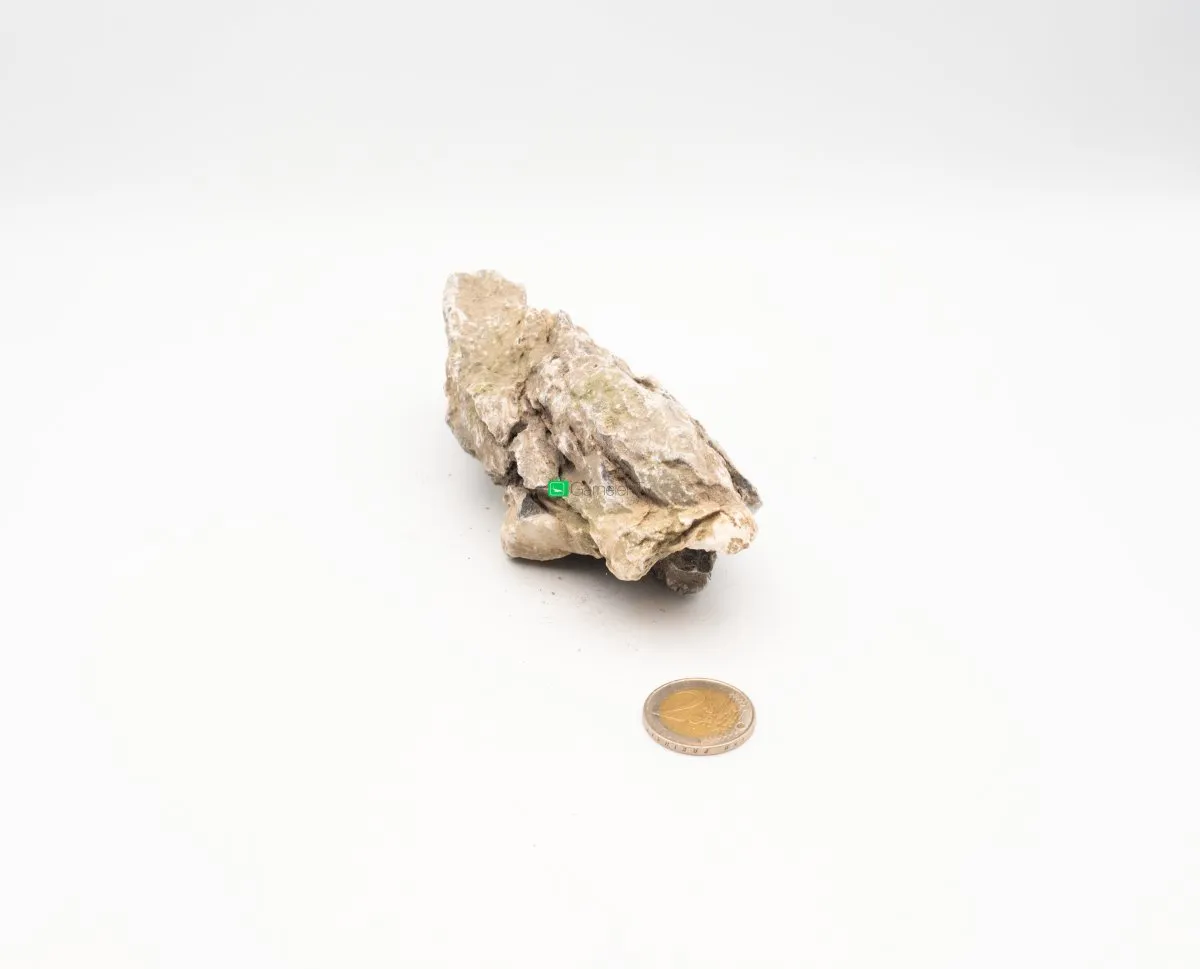 Garnelen TV Mini Landschaft hardscape akvariesten M ca 1 kg natursten