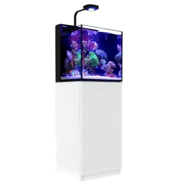Näsets Ciklidhobby Nano Max 75L akvarieset vit