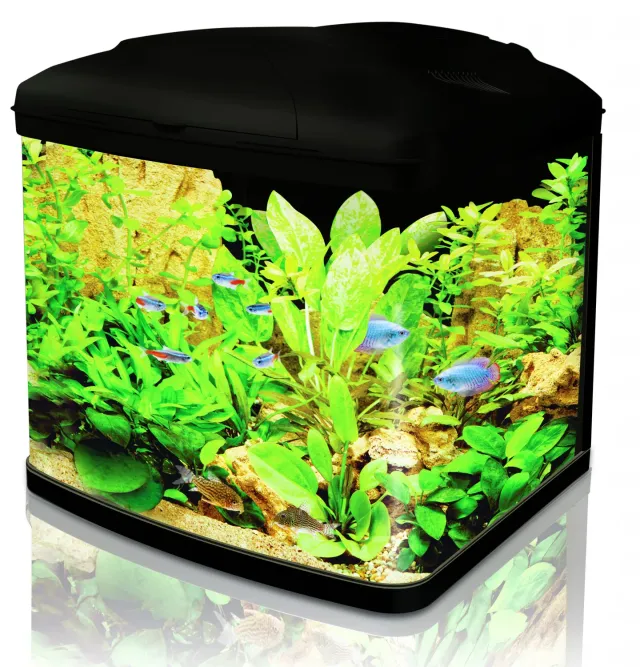 Interpet Fish Pod CF1 akvarium 48 liter komplett