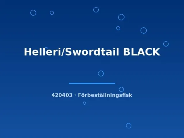 Näsets Ciklidhobby Helleri Swordtail Black svärdbärare lg svart