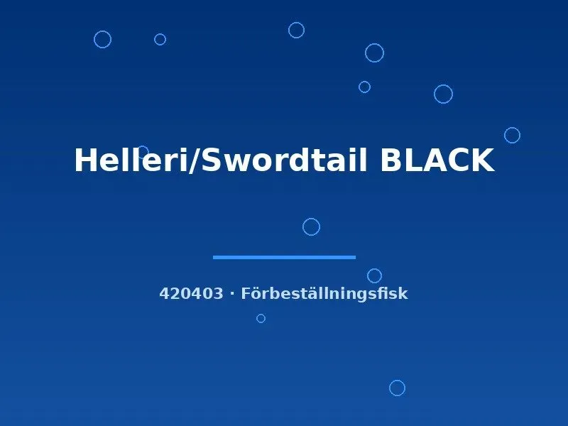 Näsets Ciklidhobby Helleri Swordtail Black svärdbärare lg svart