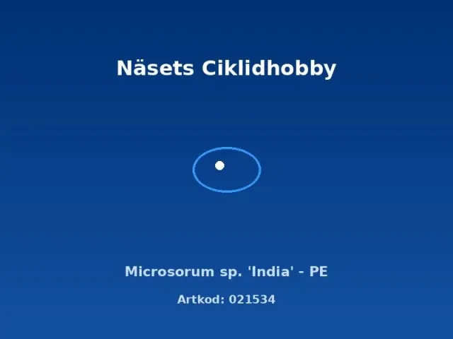 Näsets Ciklidhobby Microsorum sp. India PE akvarieväxt PE tålig