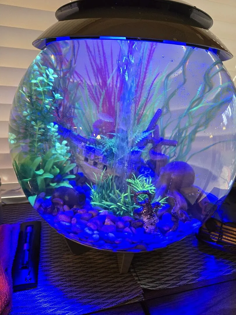 biOrb HALO 30 akvarium 30 liter MCR-ljus grå