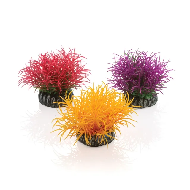 biOrb Color Ball akvarieväxter 3-pack multifärg