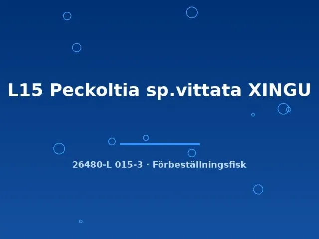 L15 Peckoltia vittata Xingu mal 8–10 cm