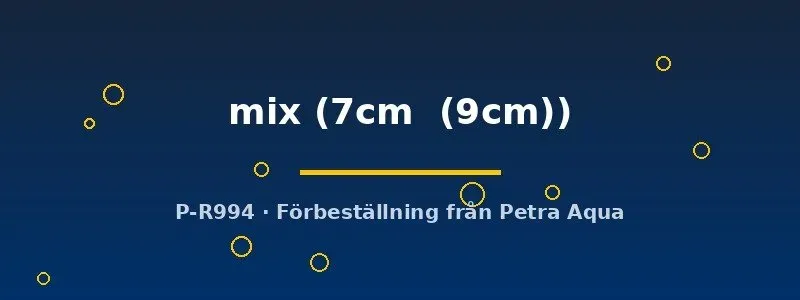Näsets Ciklidhobby Discus mix diskus 7–9 cm akvariefisk