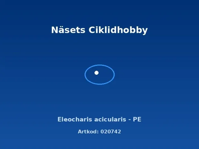 Näsets Eleocharis acicularis PE bottenväxt matta